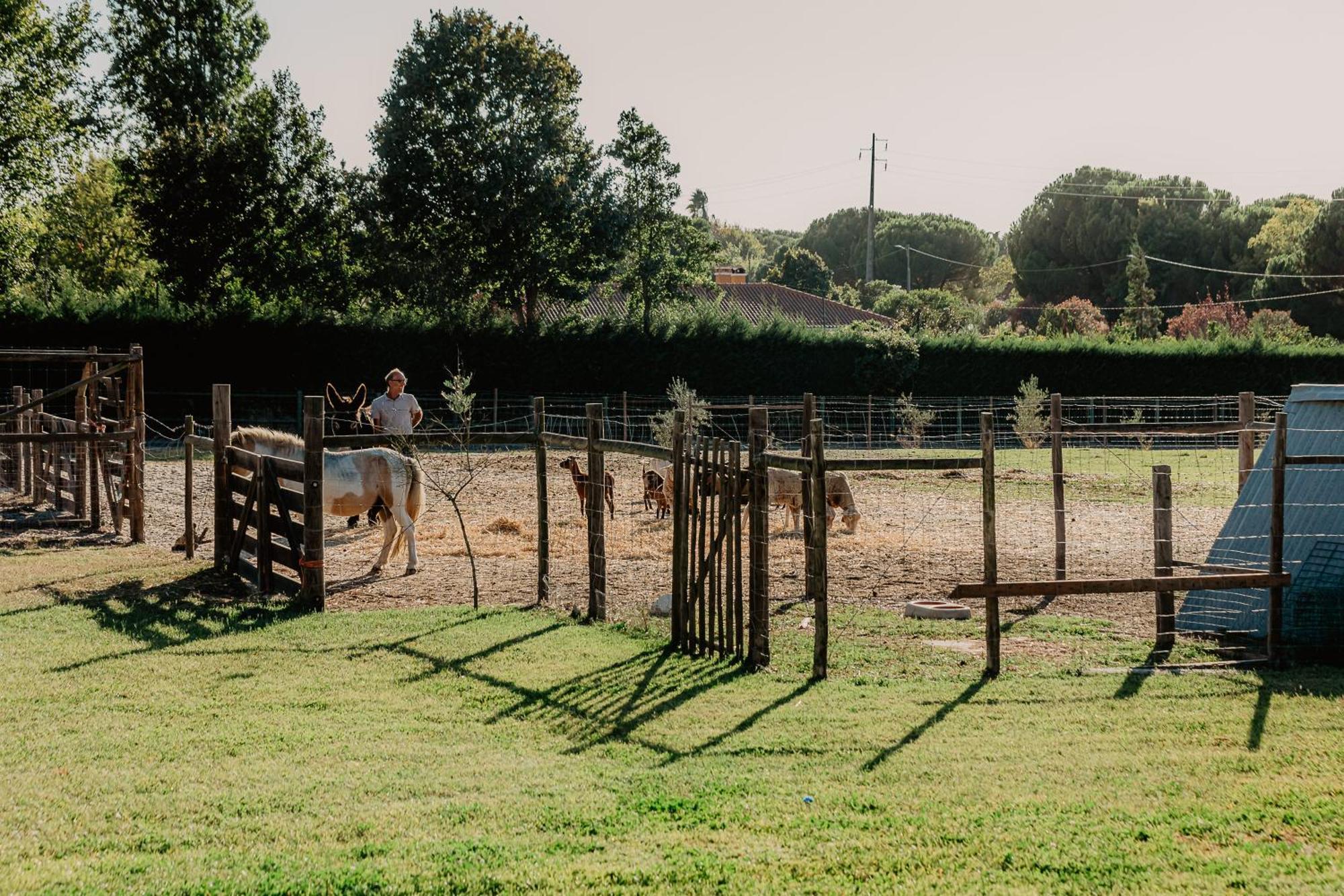 Country Club - Sto Estevao Benavente Dış mekan fotoğraf